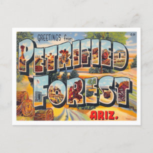 Petrified Forest, Arizona  Big Letters Briefkaart