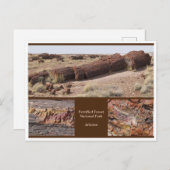 Petrified Forest, Arizona Briefkaart (Voorkant / Achterkant)