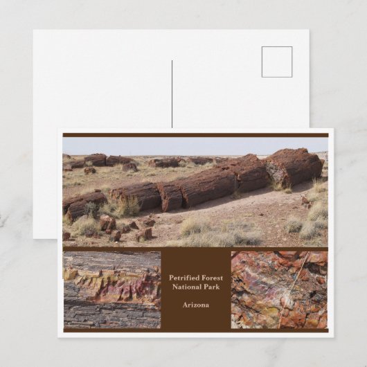 Petrified Forest, Arizona Briefkaart (Voorkant / Achterkant)