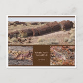 Petrified Forest, Arizona Briefkaart (Voorkant)