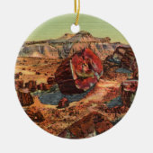Petrified Forest Arizona Ornament (Voorkant)