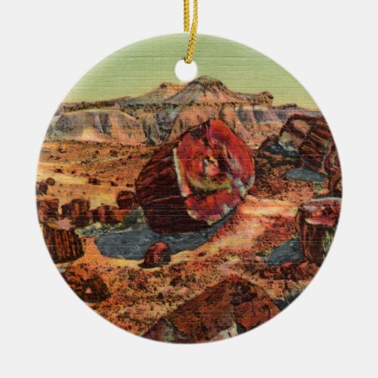 Petrified Forest  Arizona Ornament (Voorkant)