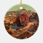 Petrified Forest  Arizona Ornament (Achterkant)