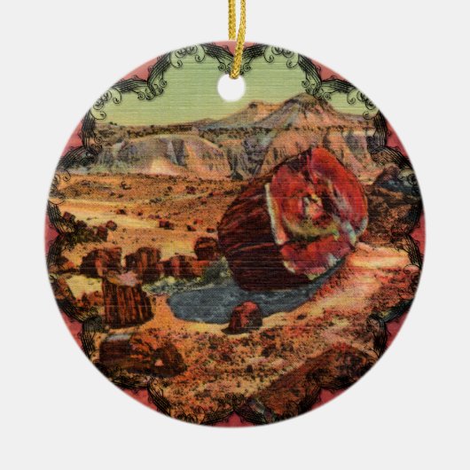 Petrified Forest Arizona Ornament (Voorkant)