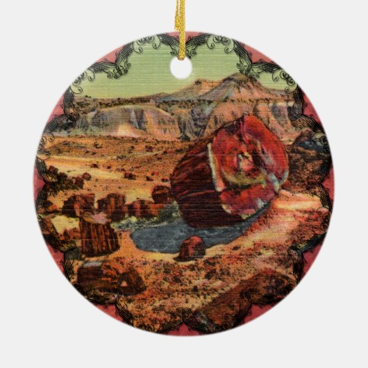 Petrified Forest  Arizona Ornament (Achterkant)
