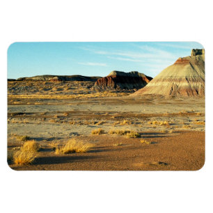 Petrified Forest Desert Arizona Landscape Foto Magneet