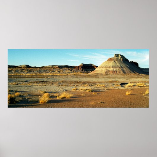 Petrified Forest Desert Arizona Landscape Foto Poster (Voorkant)