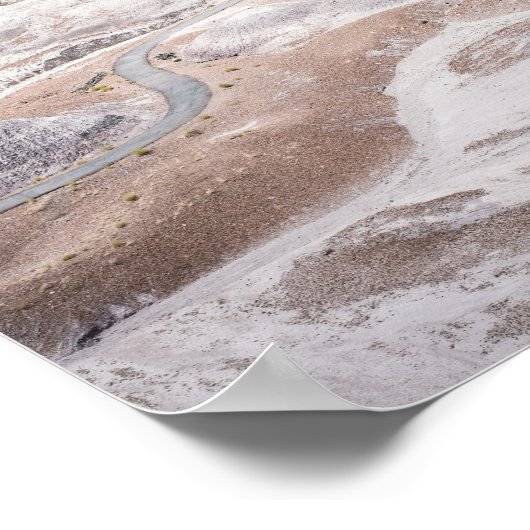 Petrified Forest, Desolate Landscape Photo Poster (Hoek)