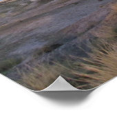 Petrified Forest Field Poster (Hoek)