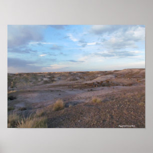 Petrified Forest Field Poster