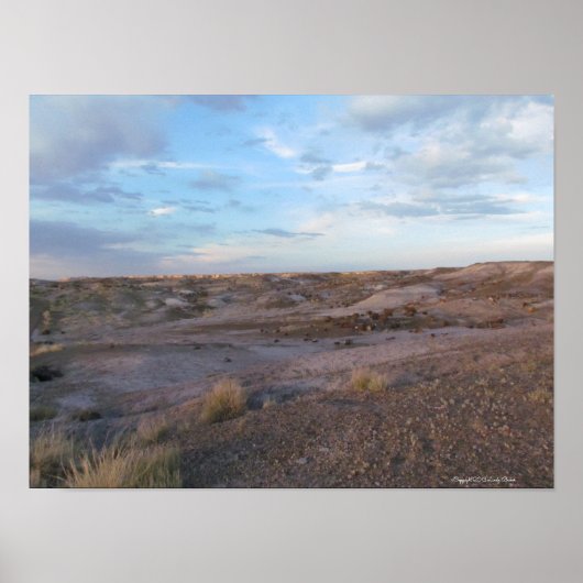 Petrified Forest Field Poster (Voorkant)