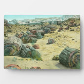 Petrified Forest Fotoplaat (voorkant)