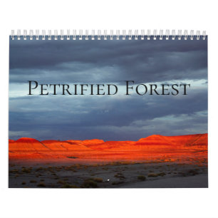 Petrified Forest Kalender