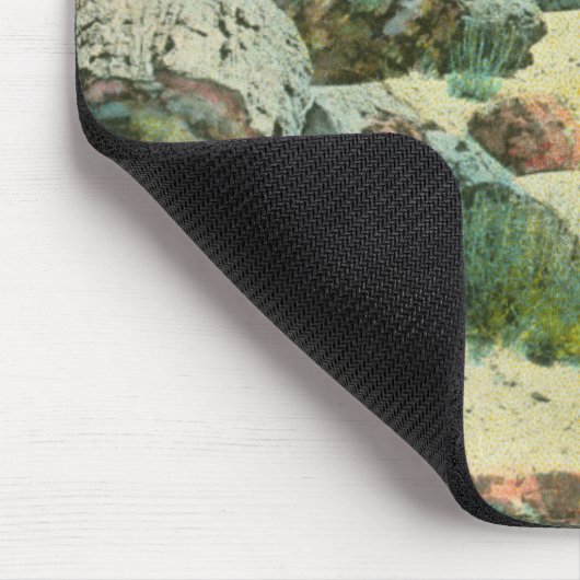 Petrified Forest Muismat (Hoek)