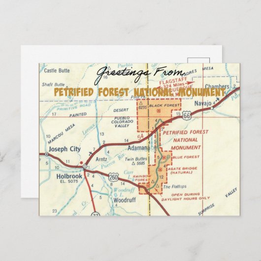 Petrified Forest National Monument  Briefkaart (Voorkant / Achterkant)