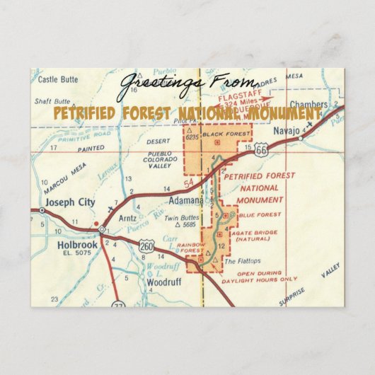 Petrified Forest National Monument  Briefkaart (Voorkant)
