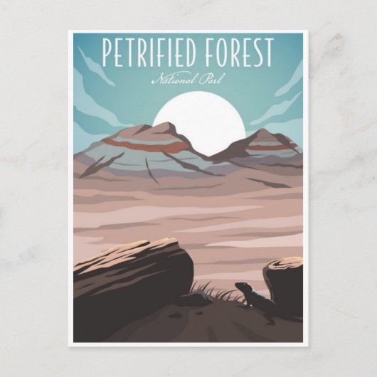  Petrified Forest National Park Arizona Briefkaart (Voorkant)