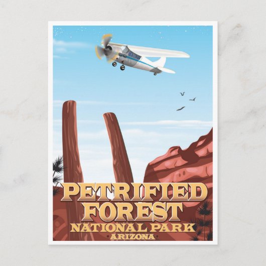  Petrified Forest National Park Arizona Briefkaart (Voorkant)