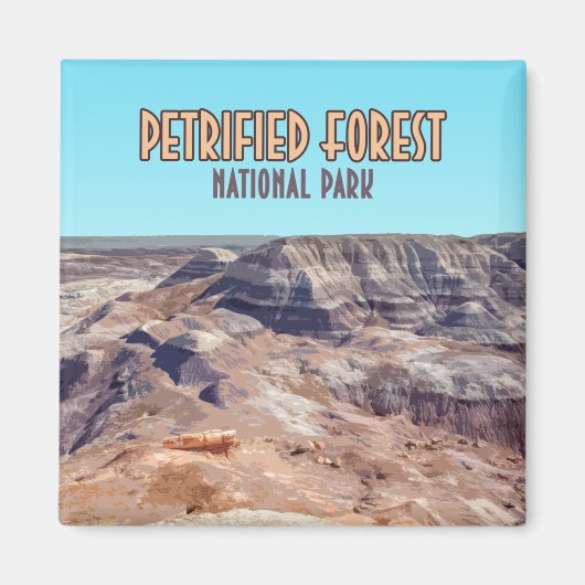 Petrified Forest National Park Arizona  Magneet (Voorkant)