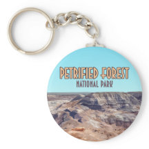 Petrified Forest National Park Arizona 
