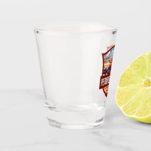 Petrified Forest National Park Illustratie Retro Shot Glas (Links)