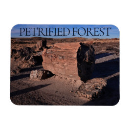 Petrified Forest National Park Magnet Magneet