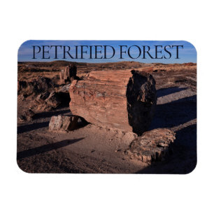 Petrified Forest National Park Magnet Magneet