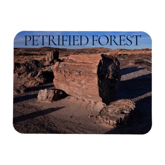 Petrified Forest National Park Magnet Magneet (Horizontaal)