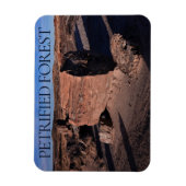 Petrified Forest National Park Magnet Magneet (Verticaal)