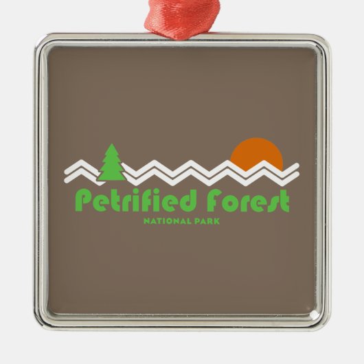 Petrified Forest National Park Retro Metalen Ornament (Voorkant)