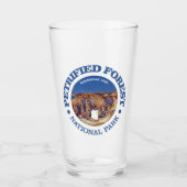 Petrified Forest NP Glas (Voorkant)