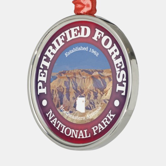 Petrified Forest NP Metalen Ornament (Links)