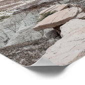 Petrified Forest Print Poster Paper (Semi-Gloss) (Hoek)