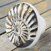 Petrified Nautical Fossil Spiral Ceramic Knob. Keramische Knop