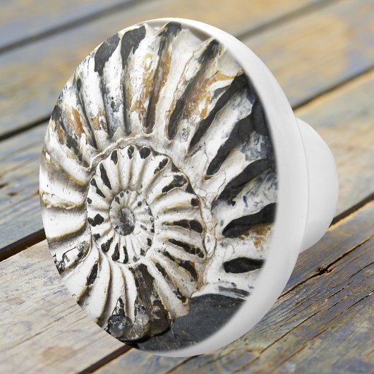 Petrified Nautical Fossil Spiral Ceramic Knob. Keramische Knop