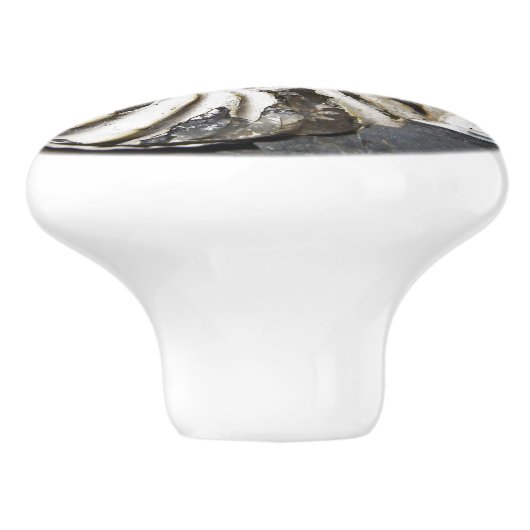 Petrified Nautical Fossil Spiral Ceramic Knob. Keramische Knop (Zijkant)