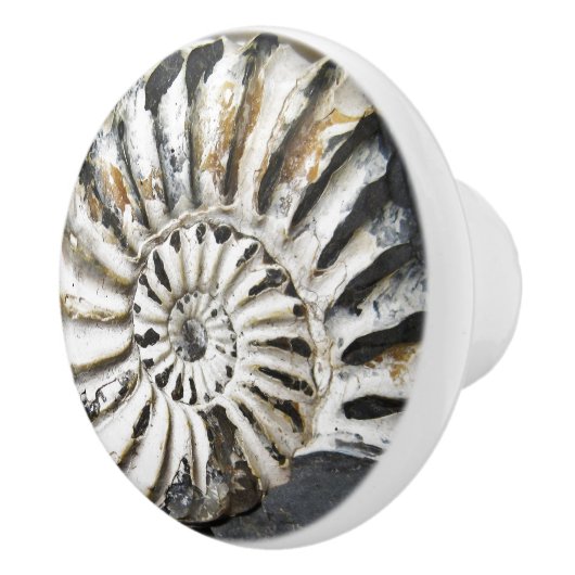 Petrified Nautical Fossil Spiral Ceramic Knob. Keramische Knop (Rechts)