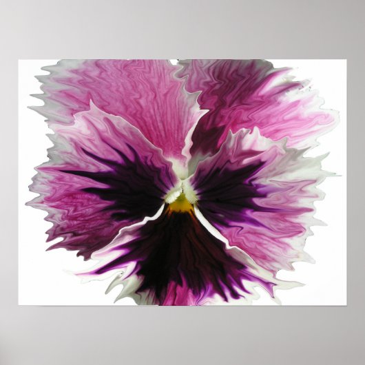 petrified pansy poster (Voorkant)