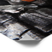 Petrified Wood Bodyverf Poster (Hoek)