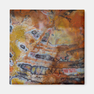 Petrified Wood Brown Magneet