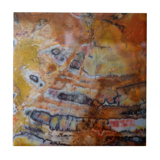 Petrified Wood Brown Tegeltje (Voorkant)