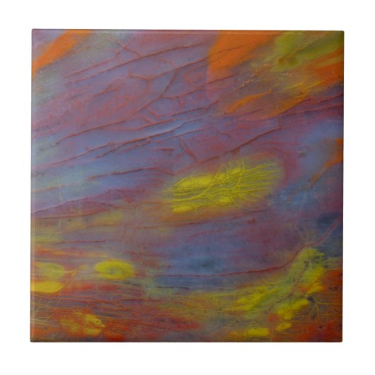 Petrified Wood Close-up Tegeltje (Voorkant)