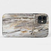 Petrified Wood iPhone Case (Achterkant (horizontaal))