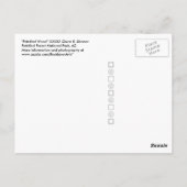 Petrified Wood Log met Shadows Arizona Foto Briefkaart (Achterkant)