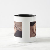 Petrified Wood Log met Shadows Arizona Foto Mok (Midden)