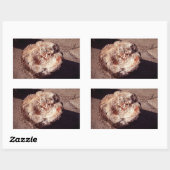 Petrified Wood Log met Shadows Arizona Foto Rechthoekige Sticker (Vel)