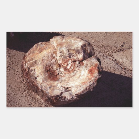 Petrified Wood Log met Shadows Arizona Foto Rechthoekige Sticker (Voorkant)