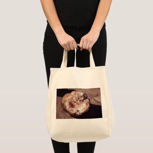 Petrified Wood Log met Shadows Arizona Foto Tote Bag (Voorkant (product))