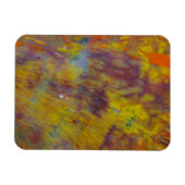 Petrified Wood Magneet (Horizontaal)