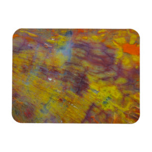 Petrified Wood Magneet